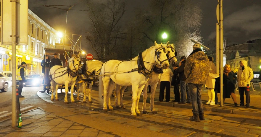 two horse drawn carriages wait on the side walk