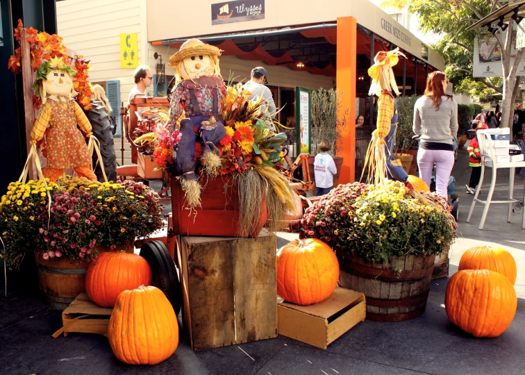 a variety of pumpkins with a scarecrow at the head