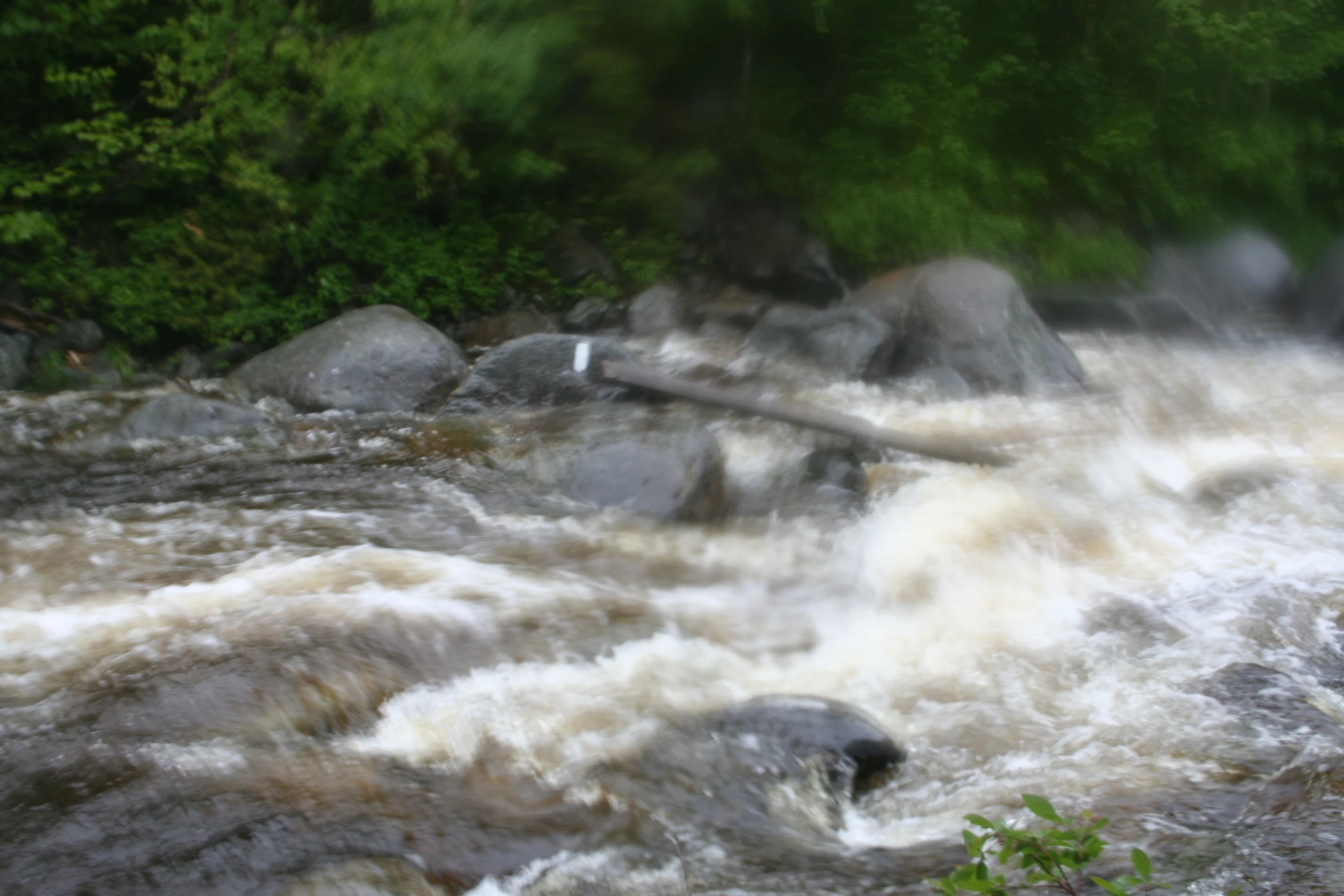 the large, rough river in a mountainous wilderness area is churning rapids