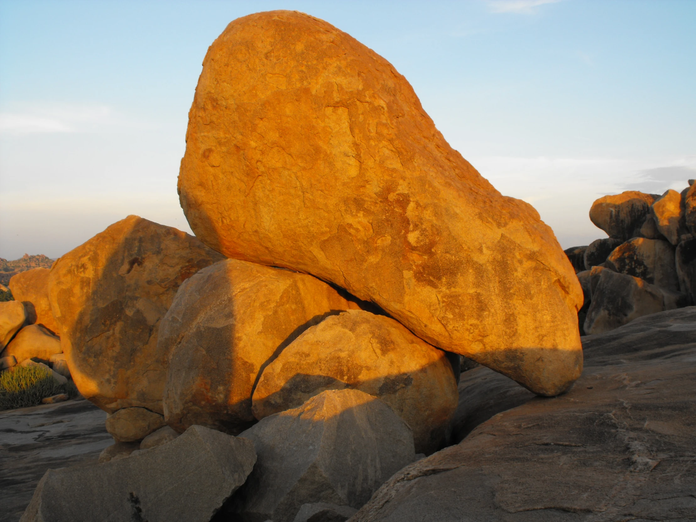 rocks covered in yellow lichen and gray rocks