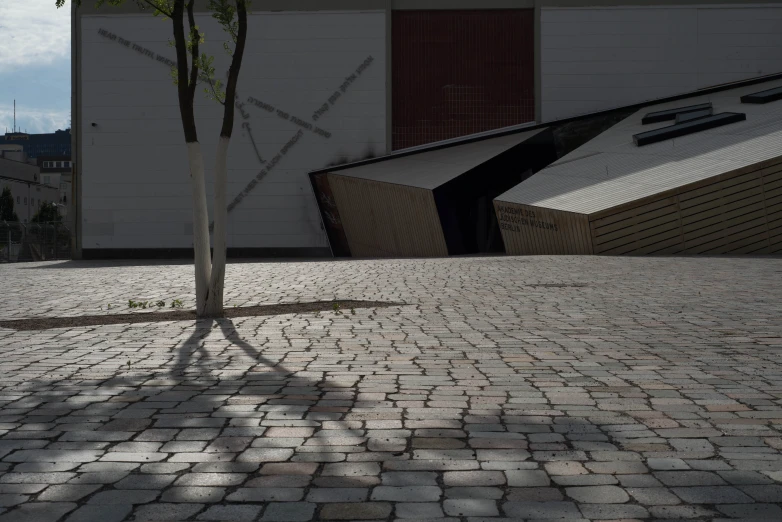 an empty tree sitting in the middle of a cobblestone street