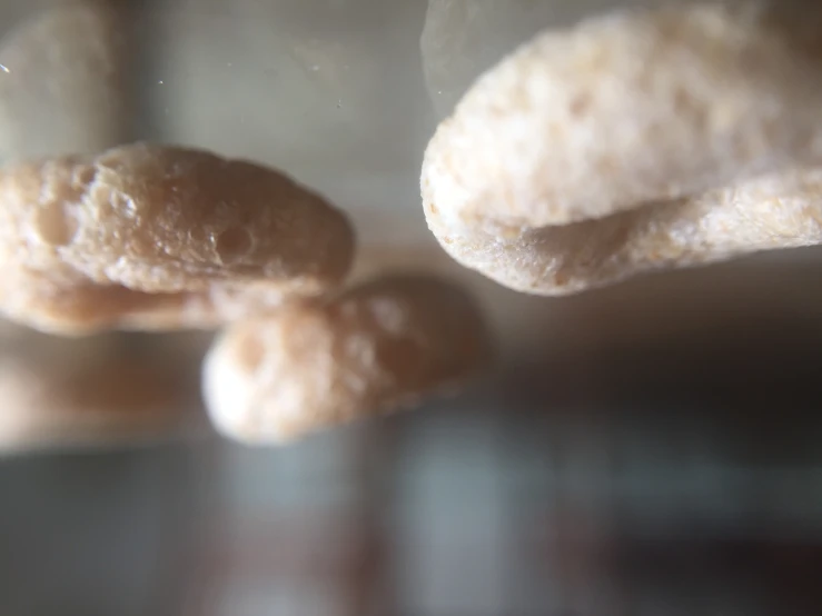 donuts are displayed on a table near other donuts