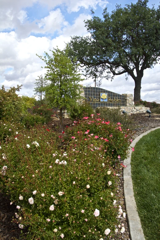 a park filled with lots of flowers and green trees