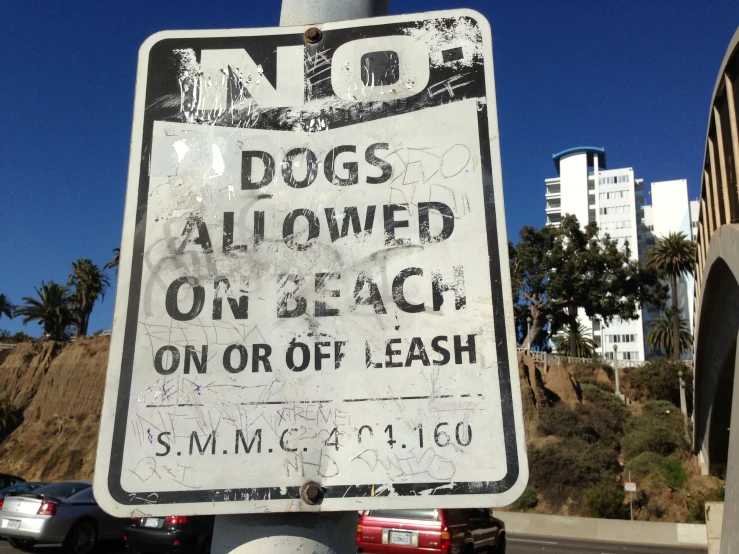 a black and white sign saying no dogs allowed on beach