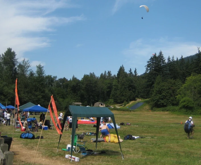 a crowd of people in a park with tents and picnic tables