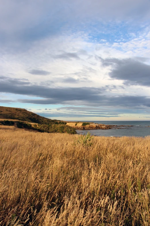 a grassy field has a body of water and clouds above it