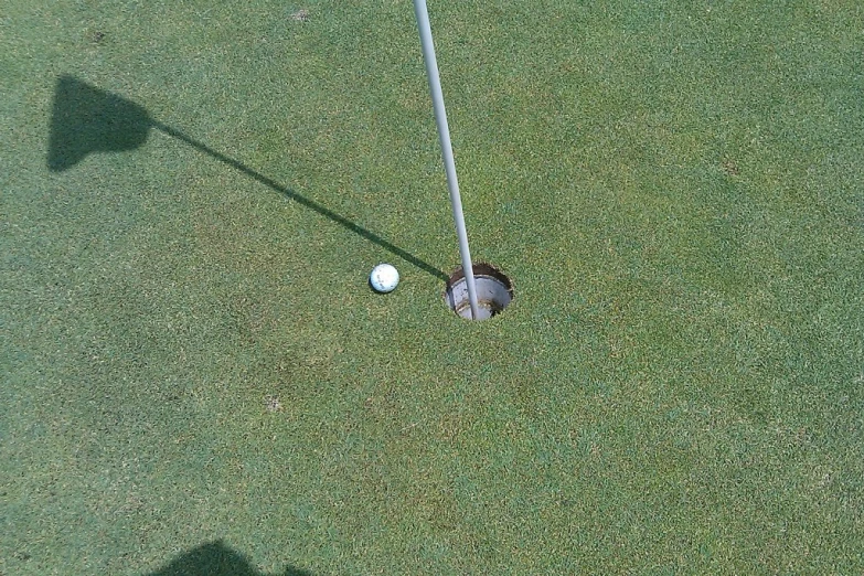 a golf club and a ball on a green