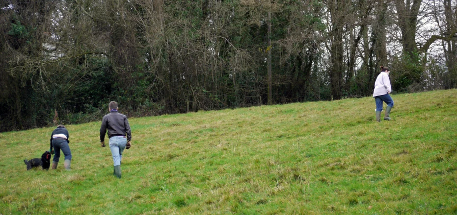 a man walking with two dogs in a grassy field