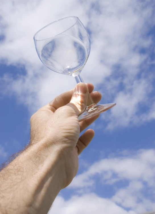 a person holding a wine glass in their hand