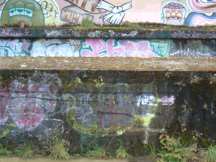 a wall covered with graffiti is standing in the weeds