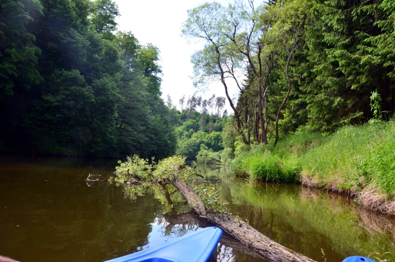 a boat on the water has a log lying in it