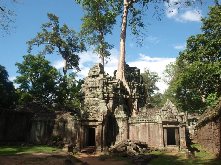 an image of trees in the ruins of a building