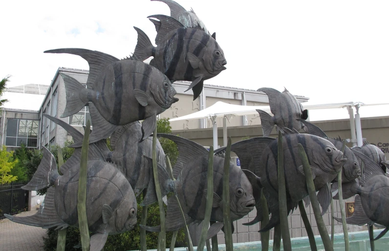 metal fish sculptures in front of a building