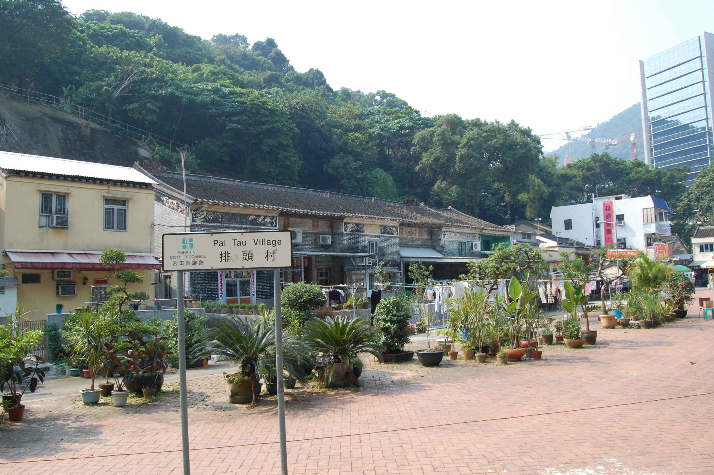 a town surrounded by trees and flowers on a street