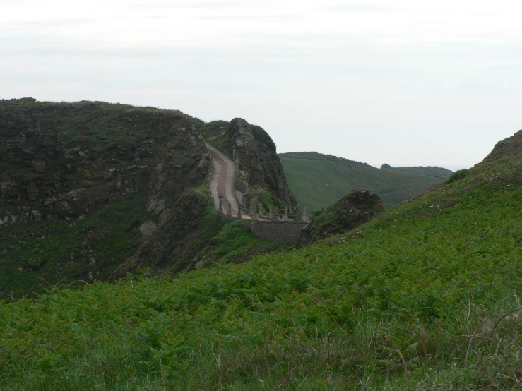 some people hiking up the side of a hill with some sheep