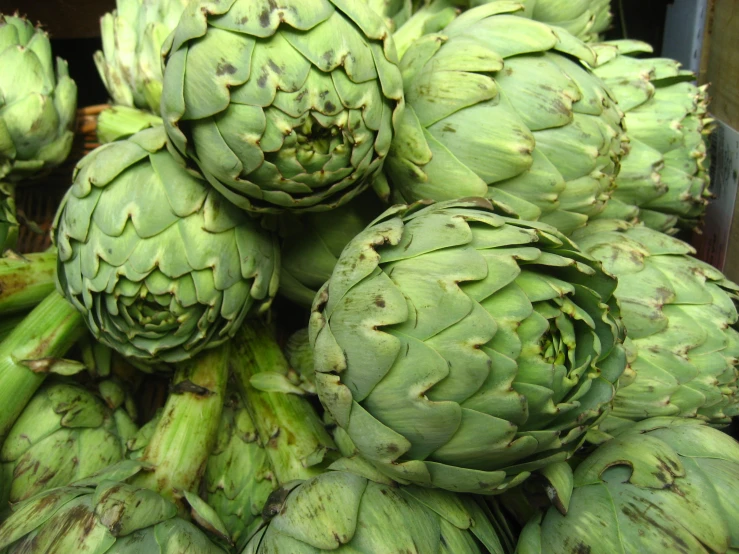 a bunch of green artichokes on display at an indoor market