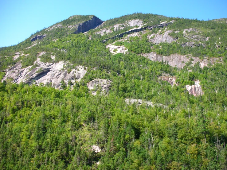 mountains are pictured covered with lots of trees and rocks