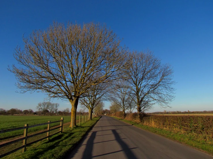 a dirt road that is lined with grass and trees