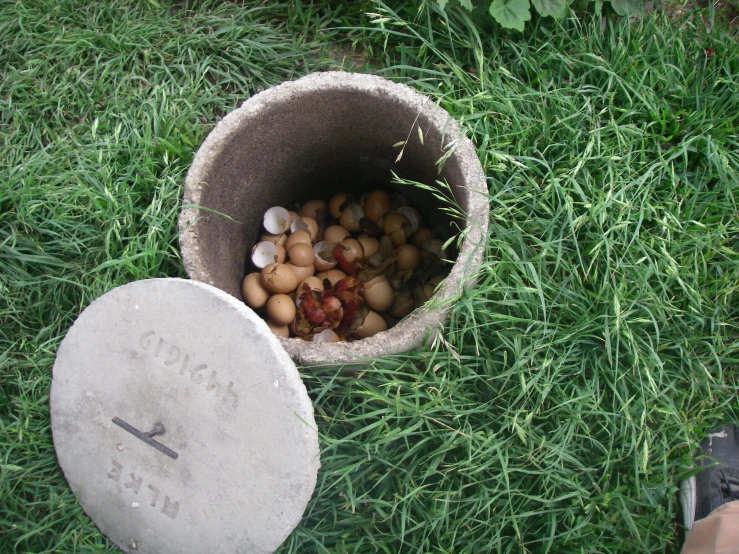 a bowl full of stones is sitting on the grass