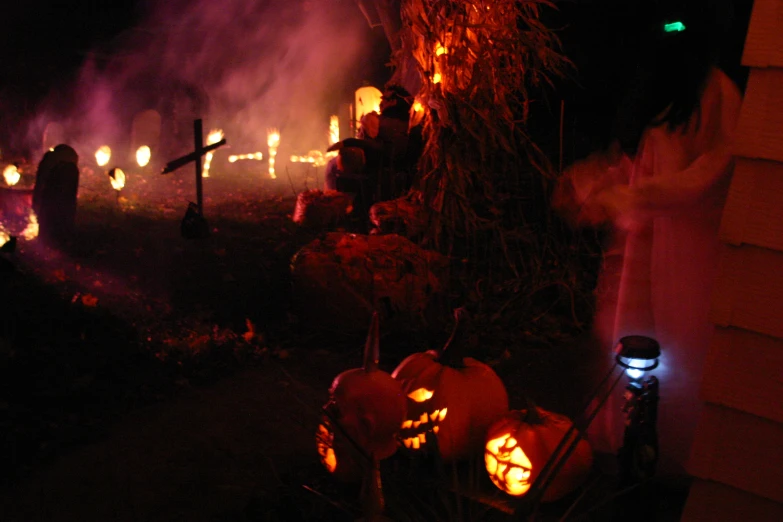 many pumpkins lit in the dark and glowing