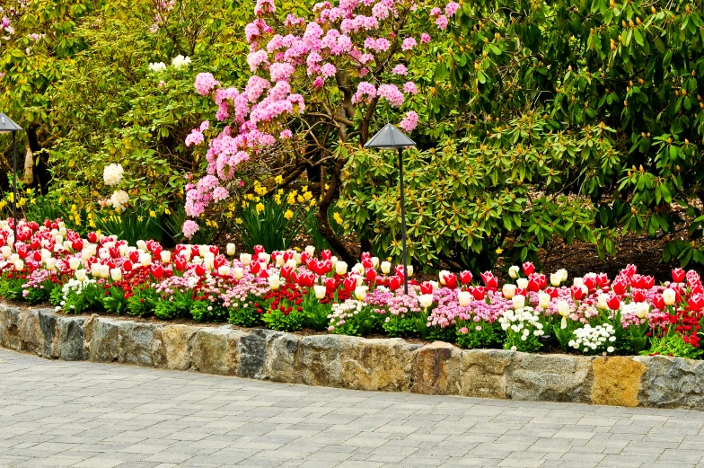 a row of trees and bushes in front of some flowers