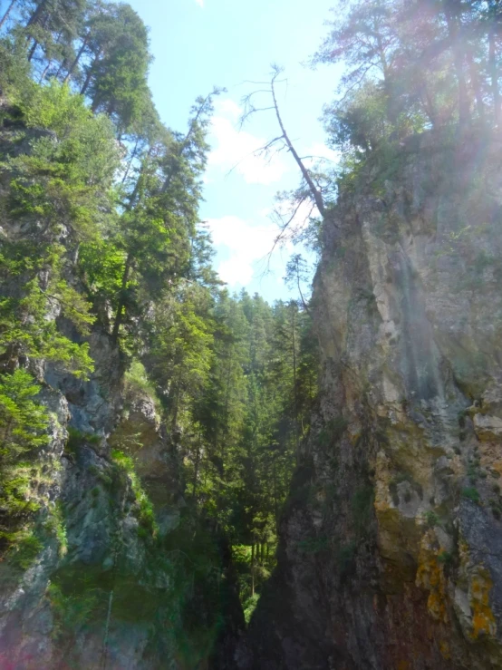 a scenic area with trees and rock formations