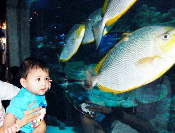 a child and an adult in front of a large aquarium