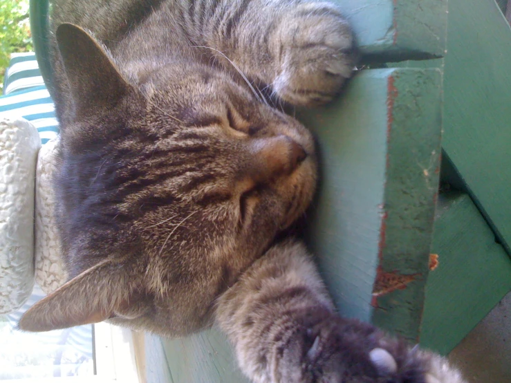 a grey and black cat is sleeping on top of a wooden chair