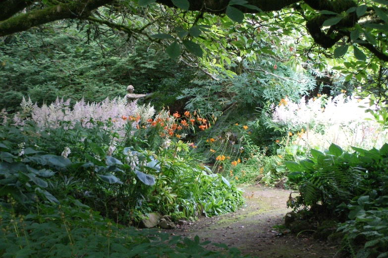 there is a garden area with some plants and flowers