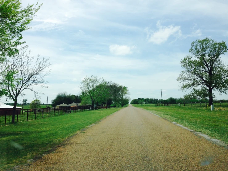 a view down a country dirt road next to a green field and trees