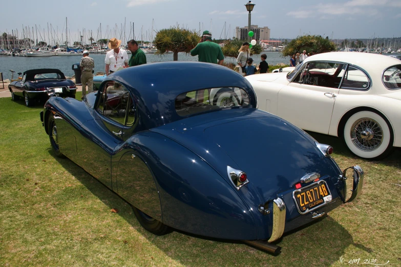 vintage cars parked on grassy field near water