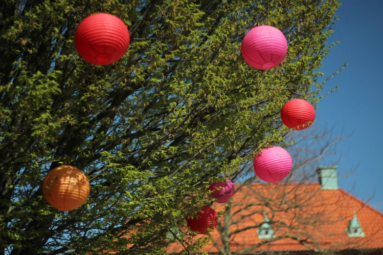 paper lanterns hanging from trees in front of a red brick building