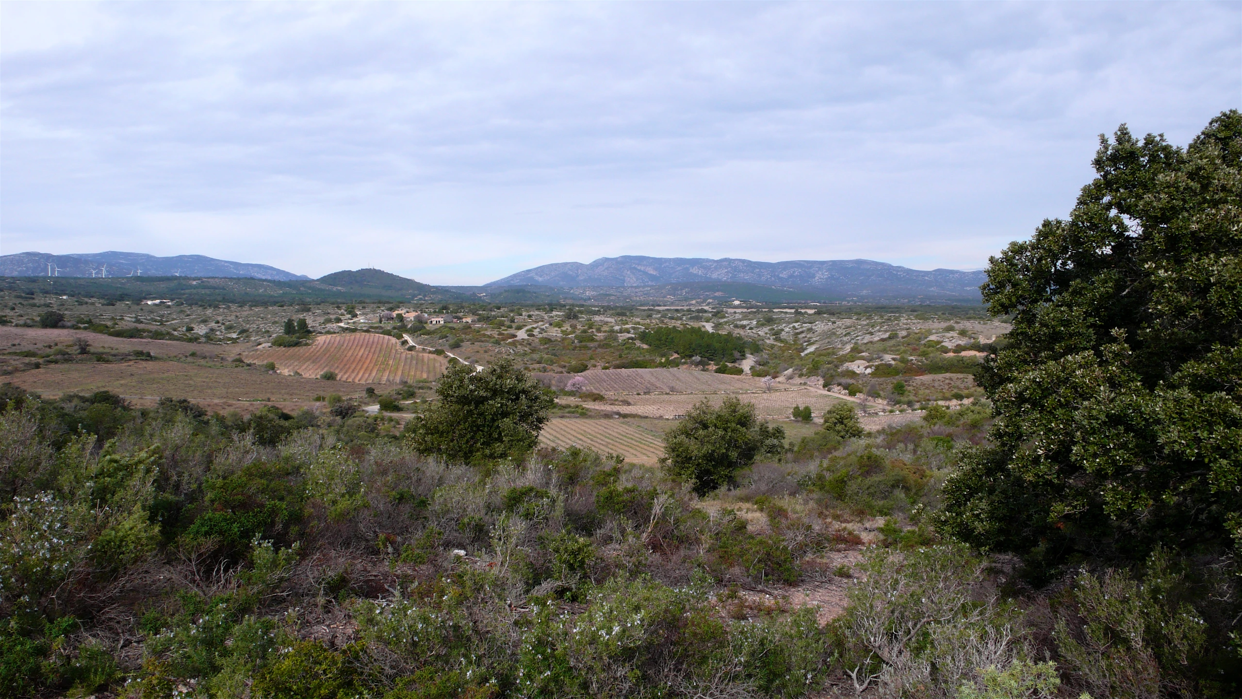 the landscape at the edge of a large hill