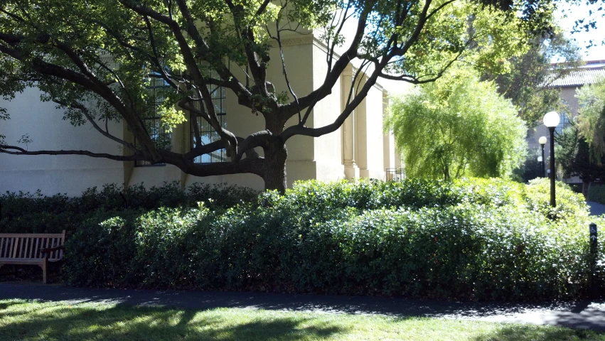 the view of an outside area with a bench and shrub