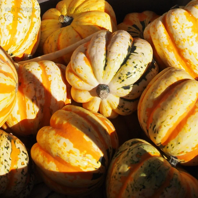 small and large pumpkins are stacked up together