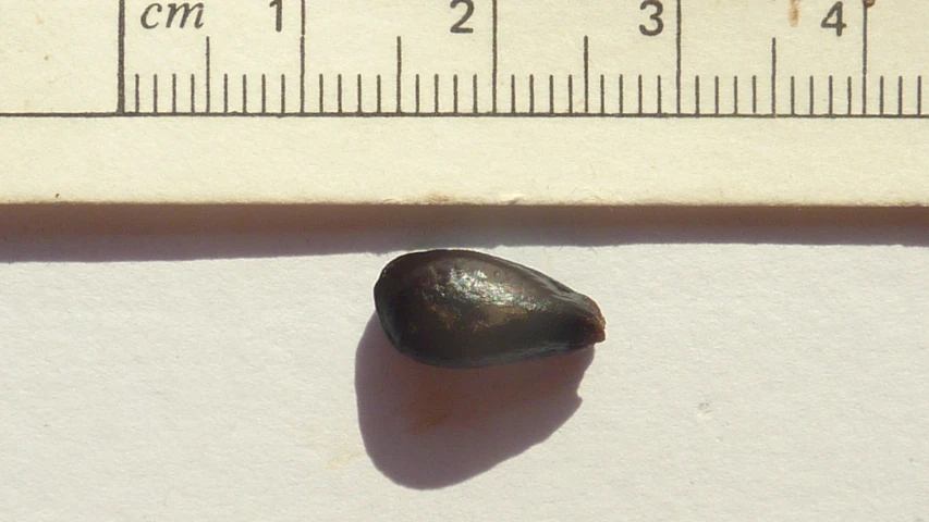 a close up of a tiny piece of metal near a ruler