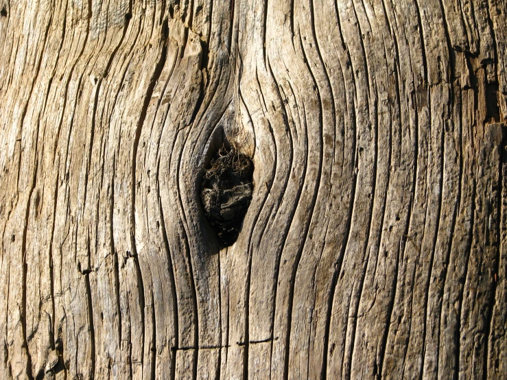 a wood board with nails that are ed off