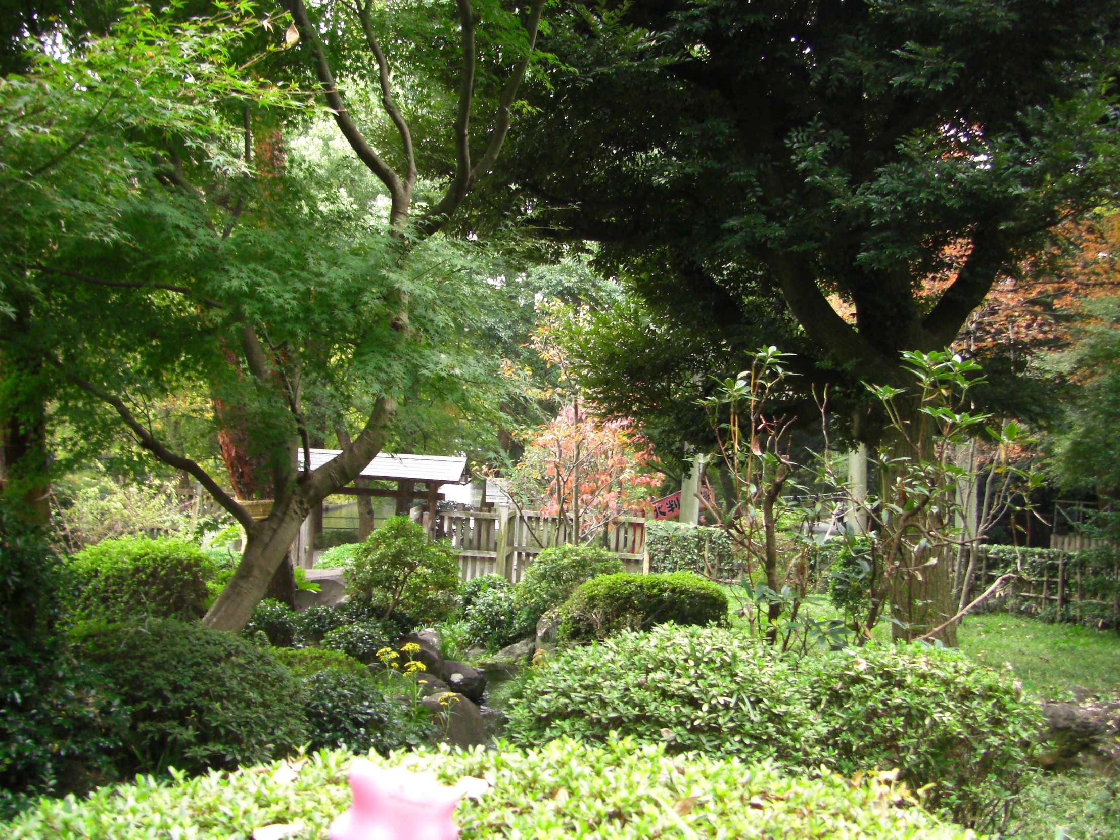 a green garden with trees and bushes around it