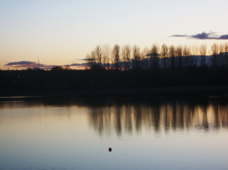 trees reflect off of the calm lake water