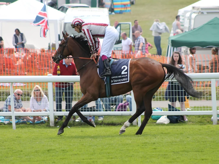 the jockey is riding a horse near a fence