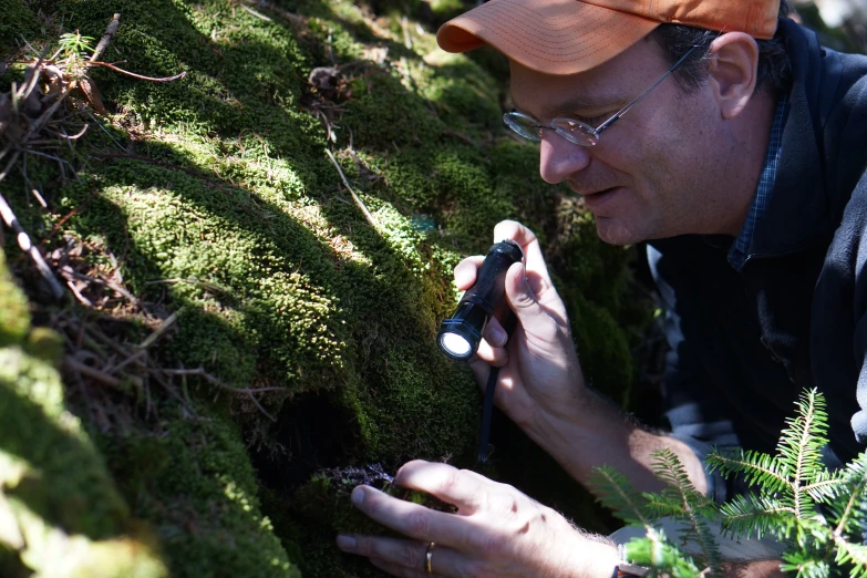 a man standing over a mossy forest holding a phone