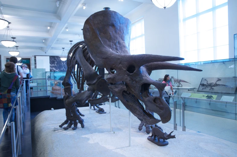 a tyranchiosaurus is mounted into the museum display