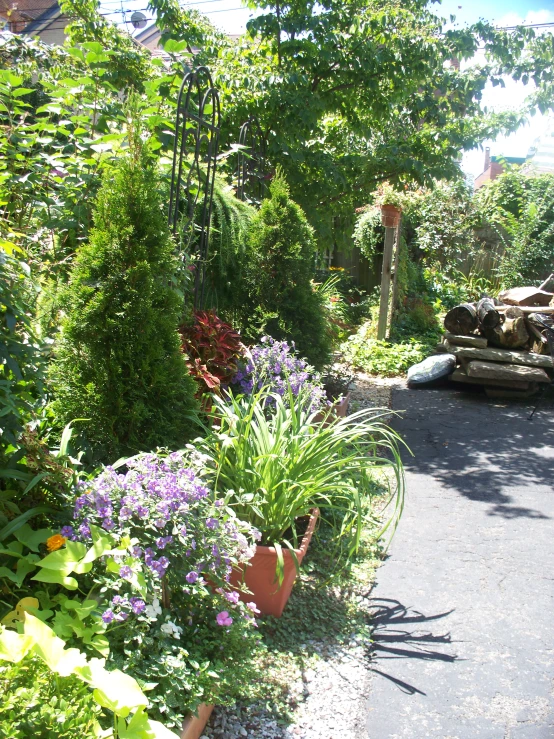 several flower pots lined up along a driveway