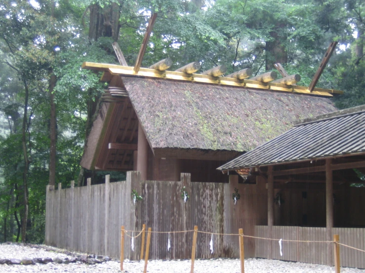 there is a grass roof on top of a house