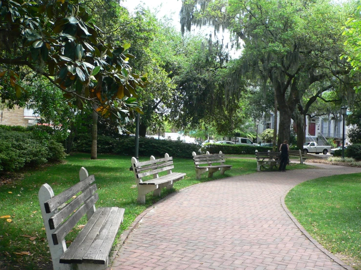 benches at a park next to some trees