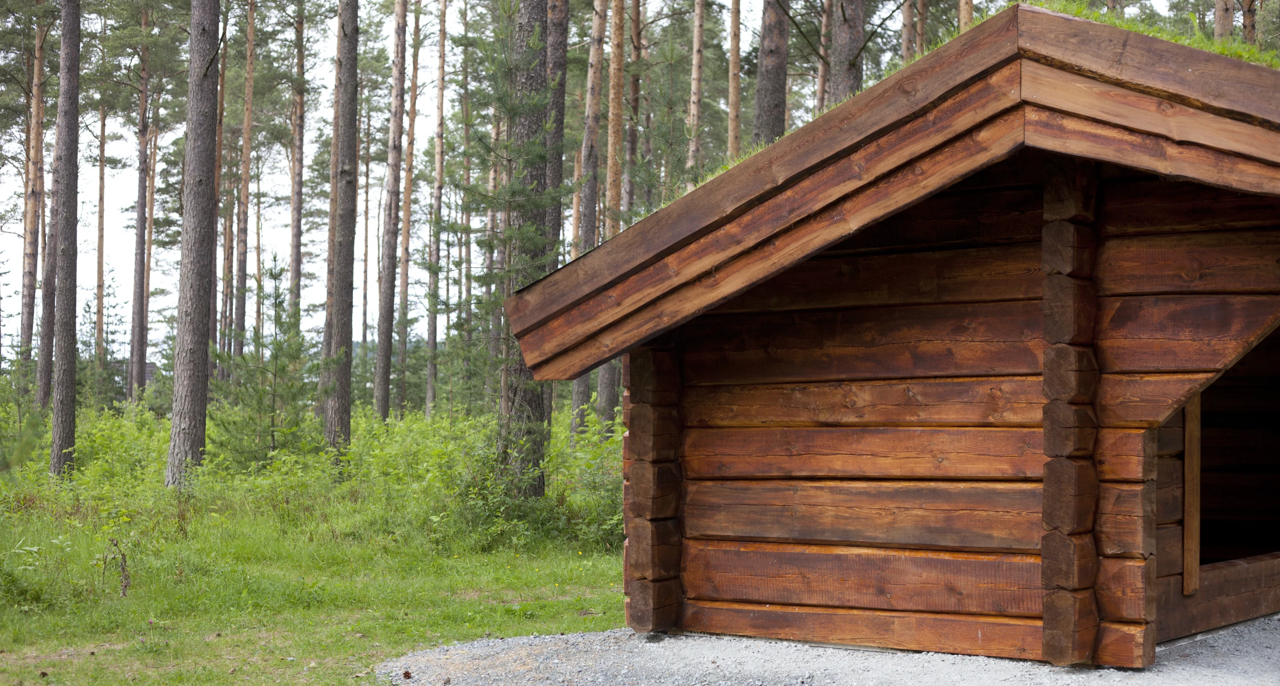 a wooden shelter in the middle of a forest