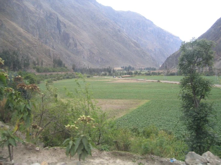 a view from across the valley with a field of grass and mountain range in the distance