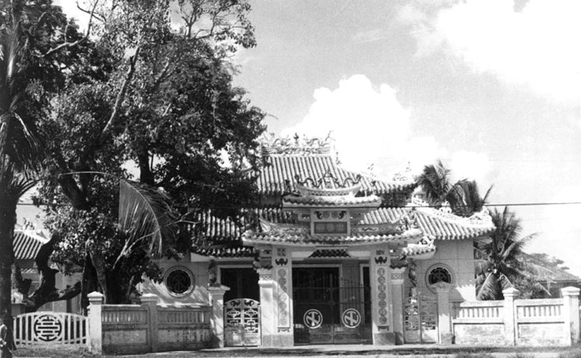 a chinese looking building sitting next to a tree