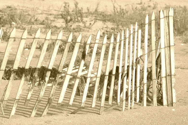 sepia pograph of an old fence and gate