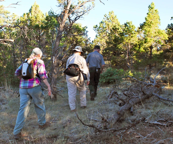 people walking through the forest with backpacks on